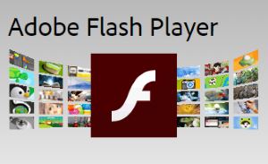 Flash Player auf PS4 installieren?