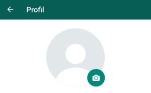WhatsApp erstes Profilbild sehen